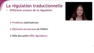 La régulation traductionnelle - Chapitre 4 - partie 5