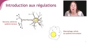 Les variations de l'expression des gènes - Chapitre 1 - partie 5
