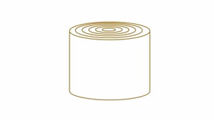 La cambium : cellules et divisions - Chapitre 10 - partie 2