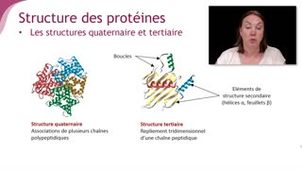 Mooc Gènes sans gêne - Semaine 1 - jour 2 - vidéocours Bérénice --V1