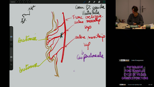 UE4 Perez Manuela 11/09/2026 (Pt2)
