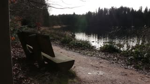 Le Lac de Pierre Percée
