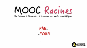 JOUR_5_Semaine_4_PER PORE