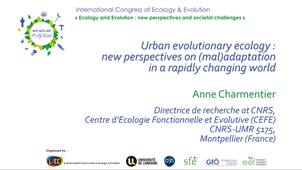 Urban evolutionary ecology: new perspectives on (mal)adaptation in a rapidly changing world - Anne Charmentier