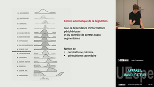 Spé Manducateur  Strazielle Catherine 08/04/2026 (Pt2) las