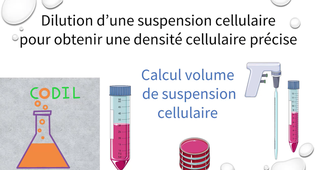 2_1_1Bcalculs_ST