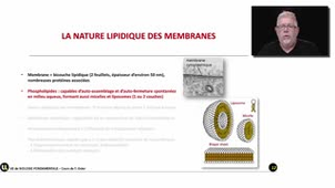 Les  membranes cellulaires