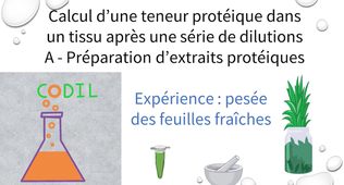 3_3_1Aexperience1
