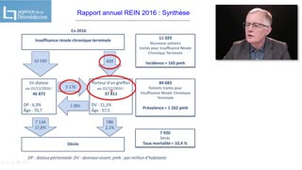 DES néphrologie - Transplantation rénale - Luc Frimat