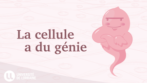 La cellule a du génie - Teaser du Mooc