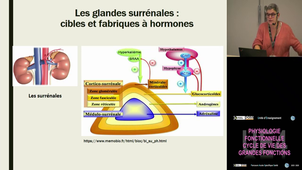 UE4 Malaplate Catherine 12/11/2025