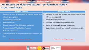Contours du phénomène des cyberviolences sexuelles / La loi et les cyberviolences sexuelles