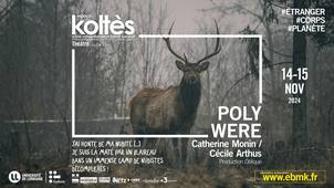 Polywere