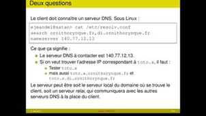 DNS 4/5