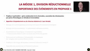 07_La méiose 1