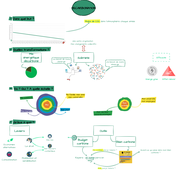Carte Concept - La Décarbonation
