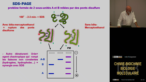 UE3 Namour Bernard 08/10/2026