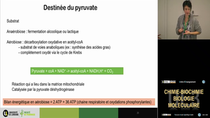 UE3 Dreumont Natacha 08/11/2023