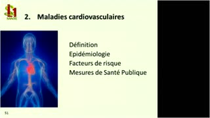 Les principaux problèmes de santé 3