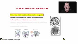 La mort cellulaire