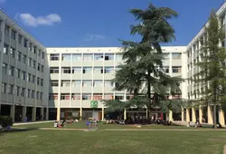 Bibliothèques_CLSH_ouvertes.mp4