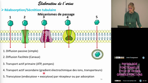 UE4 Gaucher Caroline 6/11/2025