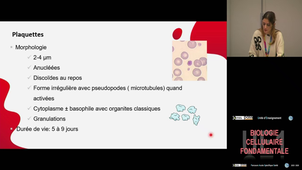 UE1 El Omar Reine 10/11/2024
