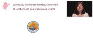 La cellule sur le plan fonctionnel - Chapitre 2 - partie 1