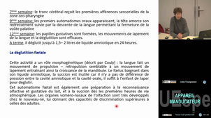 Spé Manducateur Strazielle Catherine 17/03/2025 (pt1) PASS et LAS