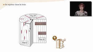 Les rayons ligneux - Chapitre 14 - partie 1