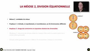 08_La méiose 2
