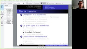 Foucault, Les Mots et les choses 04.04. Renaissance 4 : l'analogie
