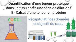 3_3_1Eobjectif_ST