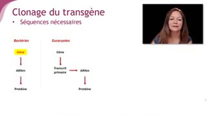 Construire un vecteur recombinant - Chapitre 5 - partie 2