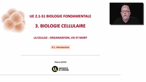 Cellules et organismes