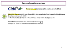 Conseil de pôle A2F, flash talk, Inhibition de relaxases conjugatives de streptocoques pour limiter la diffusion des antibiorésistances -Nicolas Soler