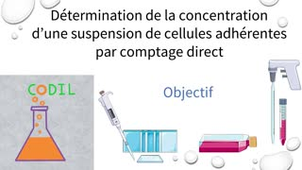 2_1_1Aobjectif_ST