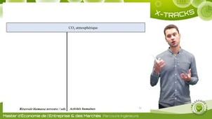 Cours 2 - 2ème partie - Économie du carbone forestier