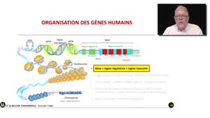 11_2.1-S1 La transcription