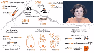 JOUR_3_Semaine_4_CRI