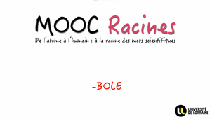 JOUR_5_Semaine_1_BOLE
