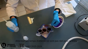 coloration de gram.mp4
