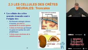 UE1 Sartelet Hervé 6/11/2025