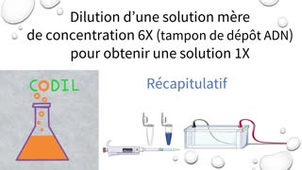 1_2_3Bconclusion