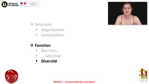 07- PACES UE2 - CM7 - La cellule et les tissus - Emilie Velot