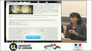 ANSTIA 2013: Le pédagolab