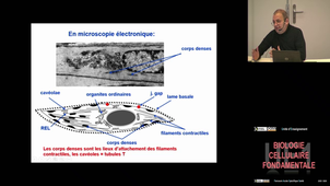 UE1 Christov Christo (Pt2)  21/11/2025
