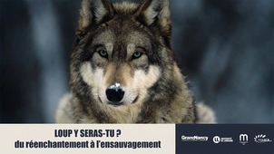 Loup y seras-tu ? Du réenchantement à l'ensauvagement