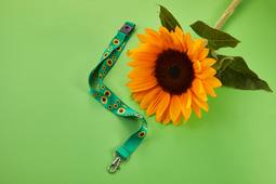 Un tournesol pour rendre visible les handicaps invisibles