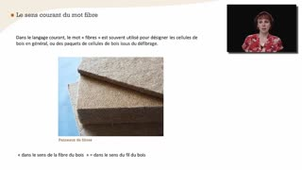 Les fibres - Chapitre 20